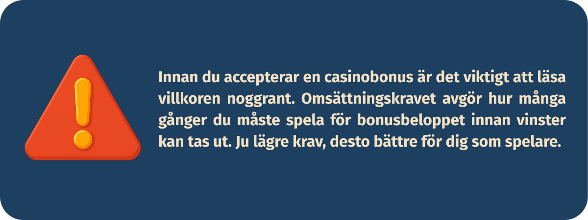 Bild som betonar vikten av att läsa bonusvillkor noggrant innan man accepterar en casinobonus, med fokus på omsättningskrav och ansvarsfullt spelande.
